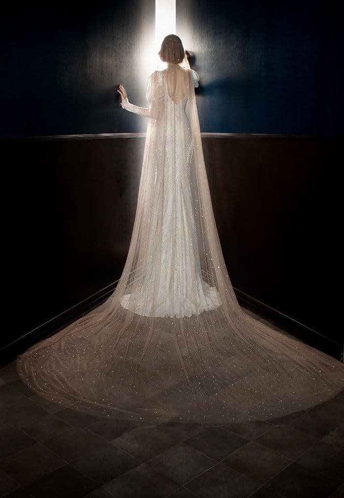 Stardust Veil